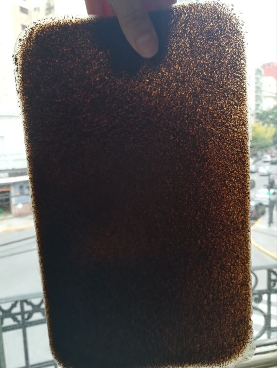 16-Dorado_2023_1 - LAD UNLA