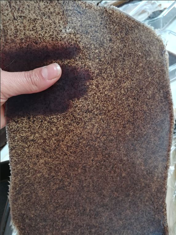 16-Dorado_2023_2 - LAD UNLA