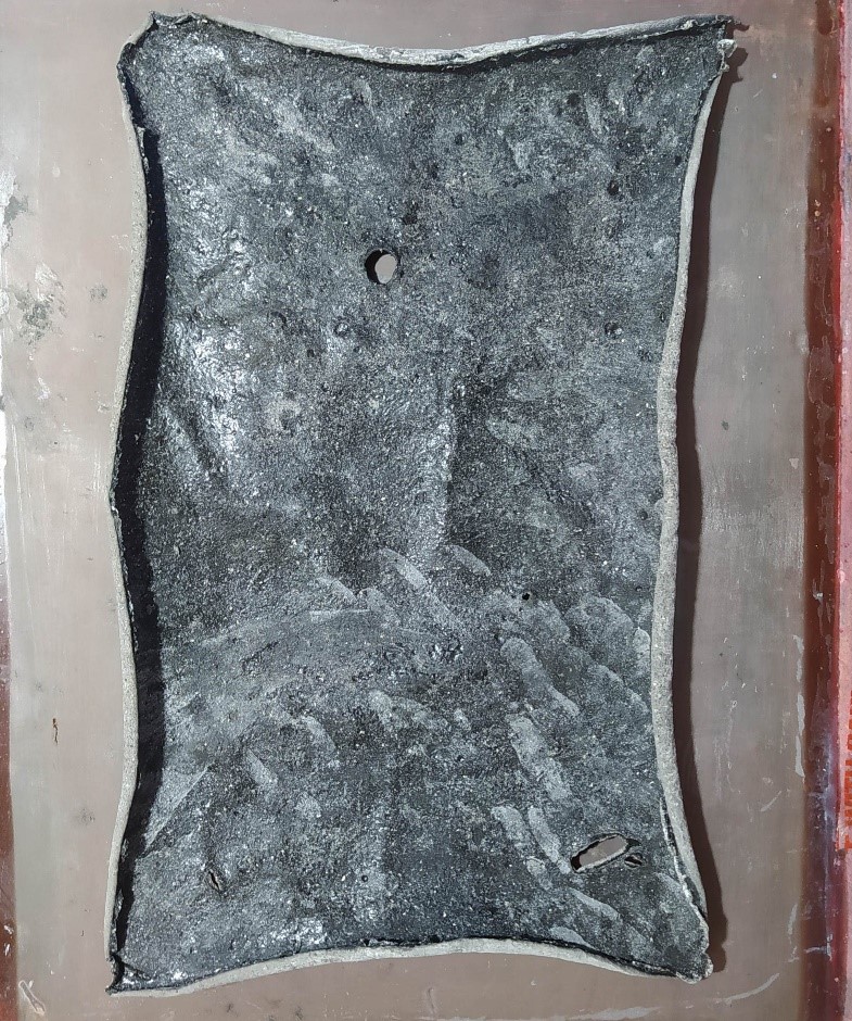 16-Dorado_2023_4 - LAD UNLA