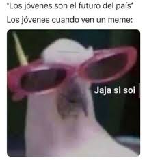 3-Pinkus_2021_1 - Pic Nic (1)